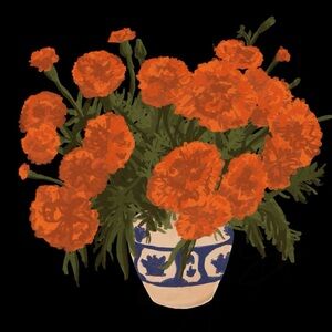 Meet your Posher, Sally